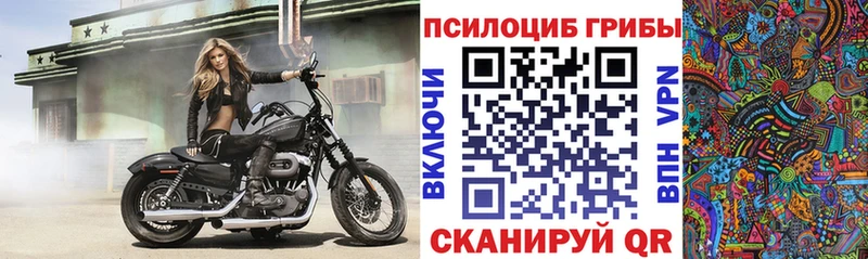 Галлюциногенные грибы мухоморы  Видное 